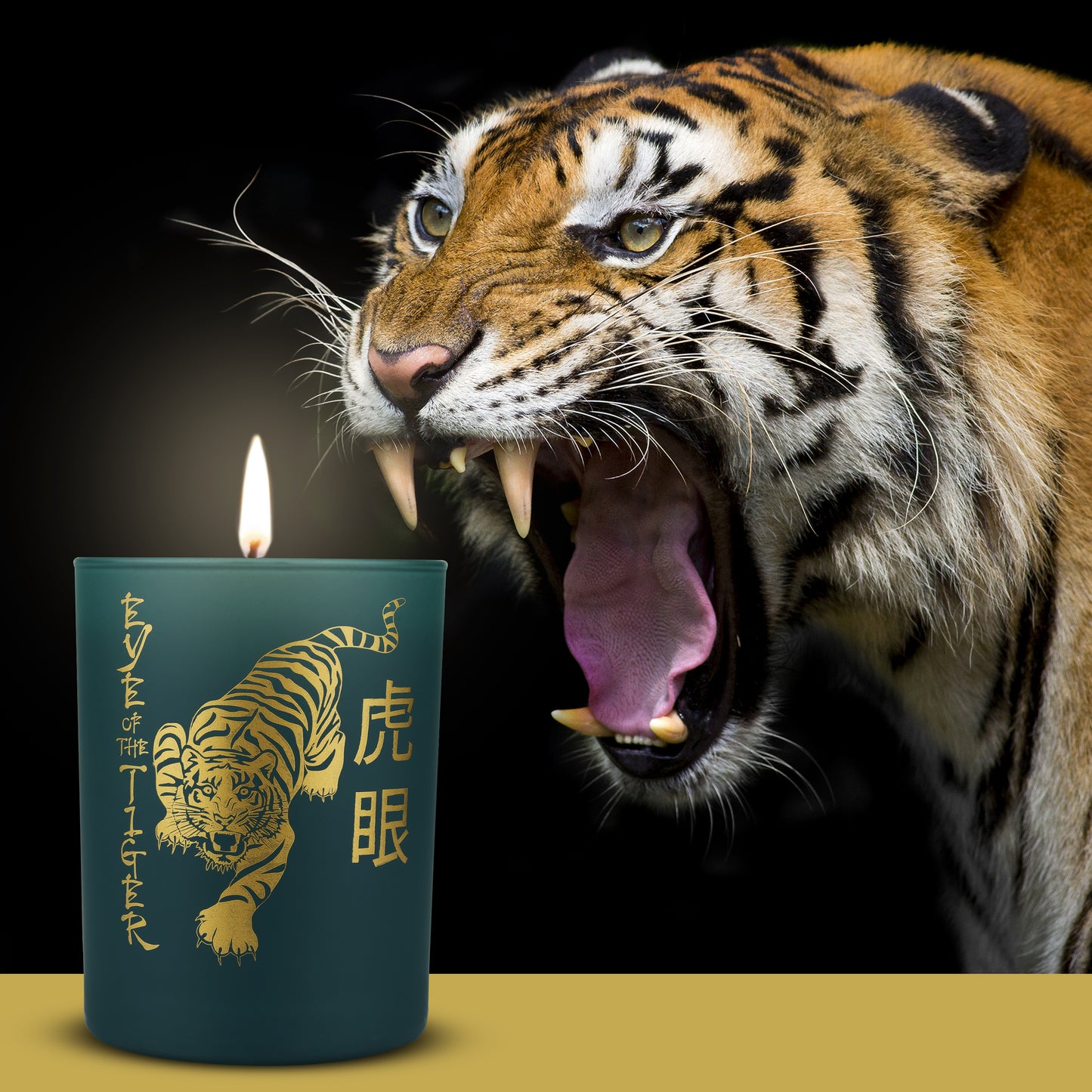 Eye Of The Tiger - Evoke Candle Co